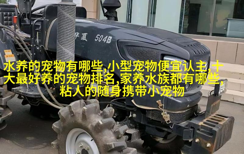 家族聚会里的宝贝成员