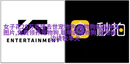 比熊
