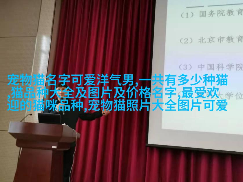 法式斗牛梗