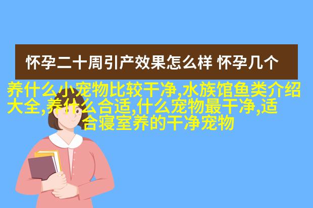 高地牧羊犬