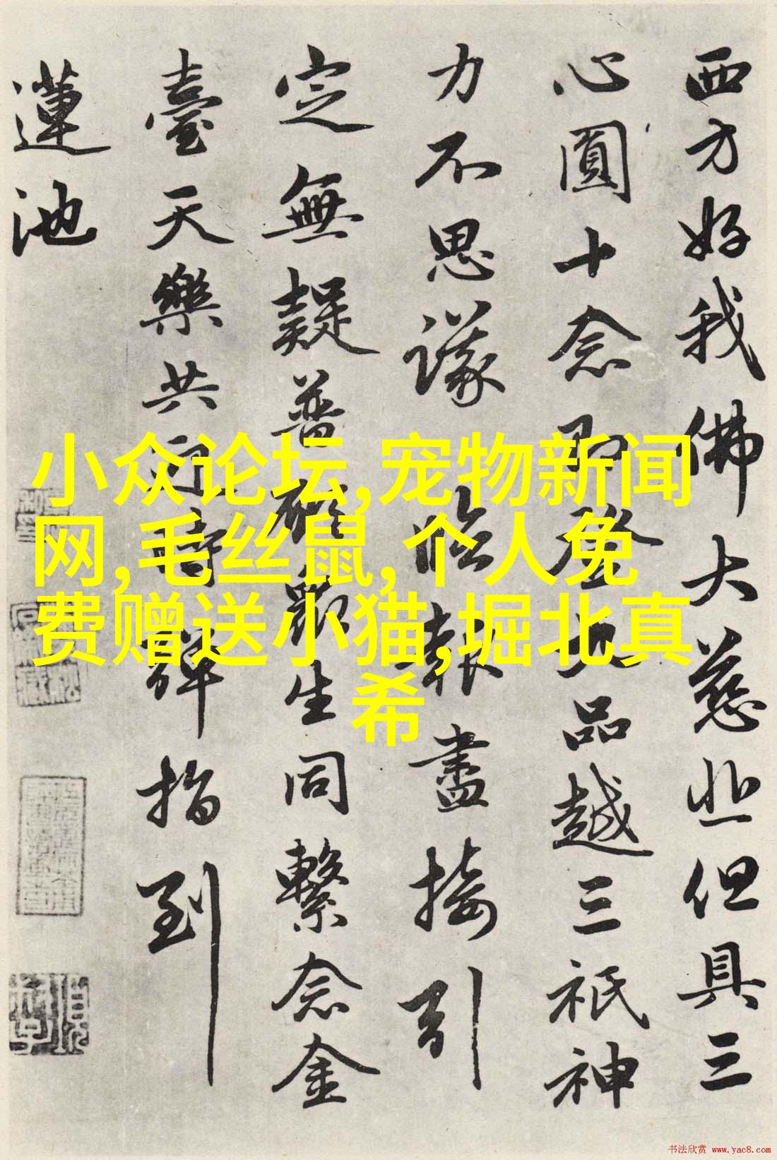 智慧守护者：全球最萌宠物dog图片大全
