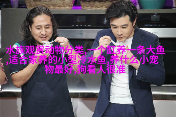 斗牛梗