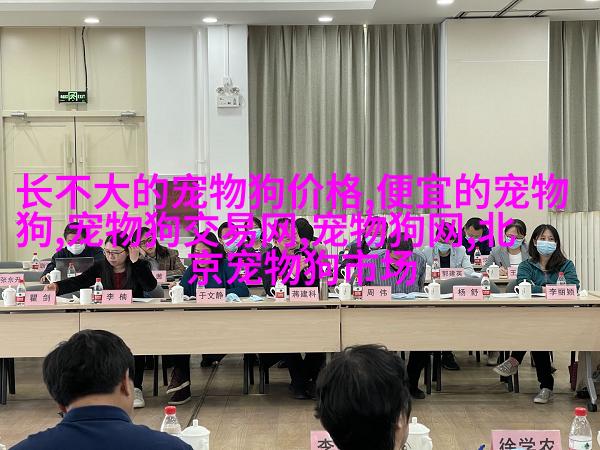 金毛寻回