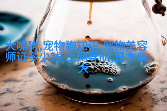 银龙鱼怎么喂食