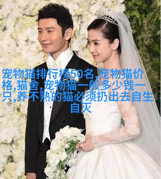 图3: 金黄边境牧羊犬