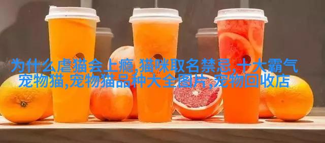哈士奇