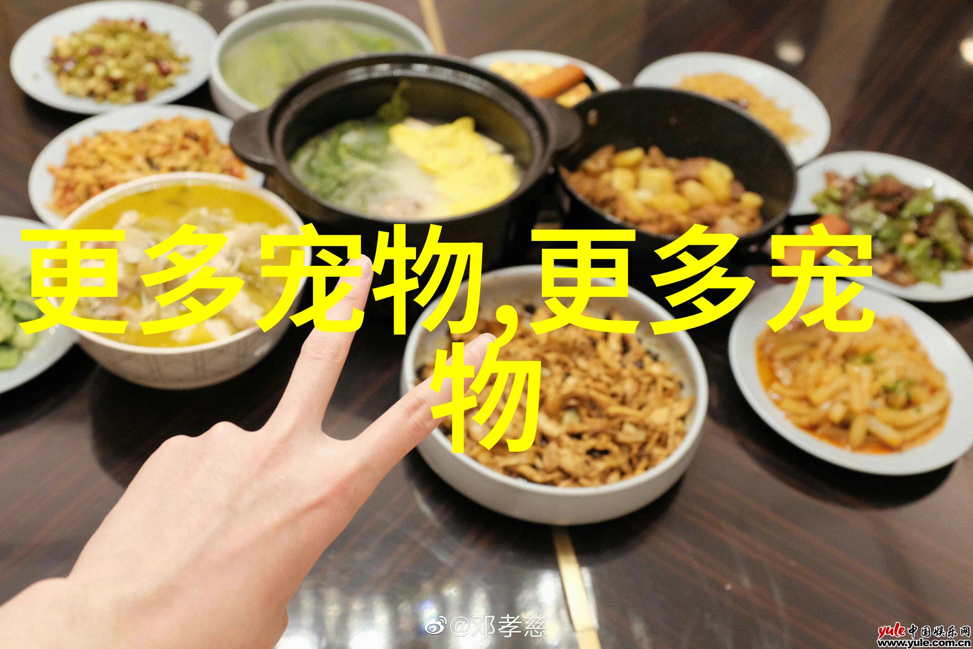 图8: 小型边境牧羊犬跳水镜头