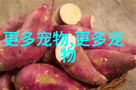 英國 bulldog