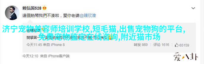 招财鱼的水,不清楚的可以进来看看