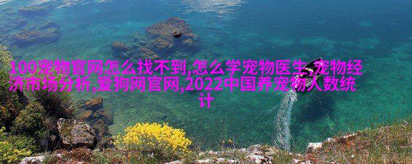 图5: 意大利短-haired指引者