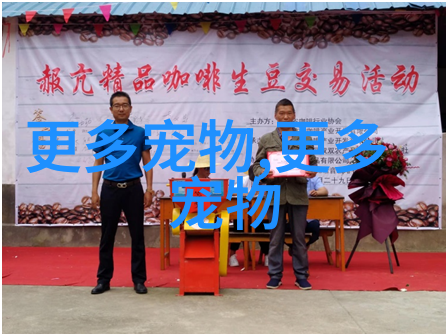 天天嚷嚷着狗聪明,还搞了个智商排行榜,这喵星人怎么能服气