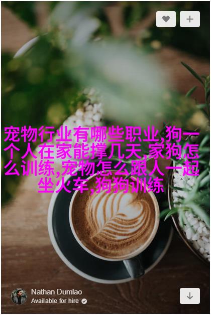 奥里诺科山林克脱眼斑马耳