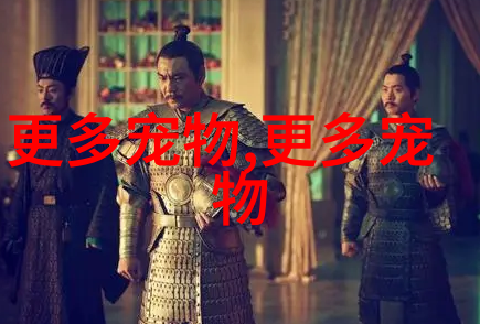 苏格兰折耳