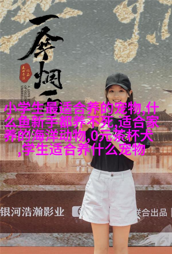 阿富汗獒 dog