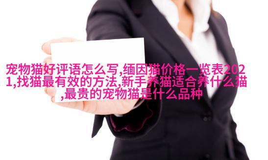 短毛勇士