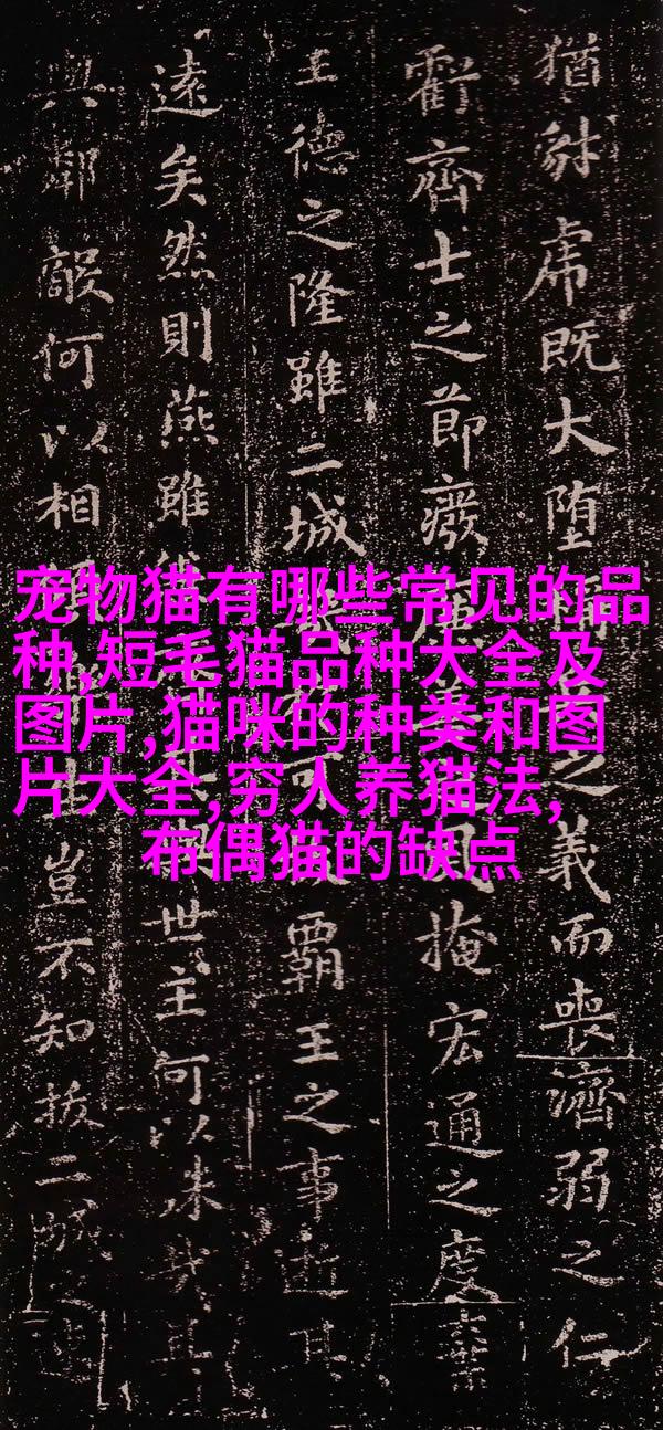 斯普林格西泰兰登