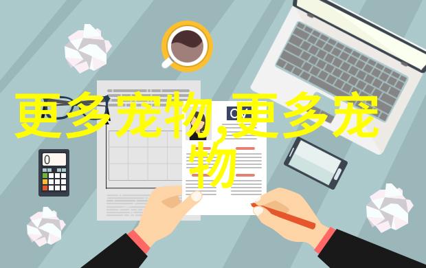 懒惰专家