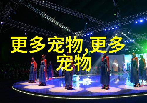 图像描述