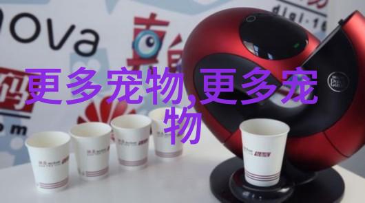 图5: 金毛寻回犬