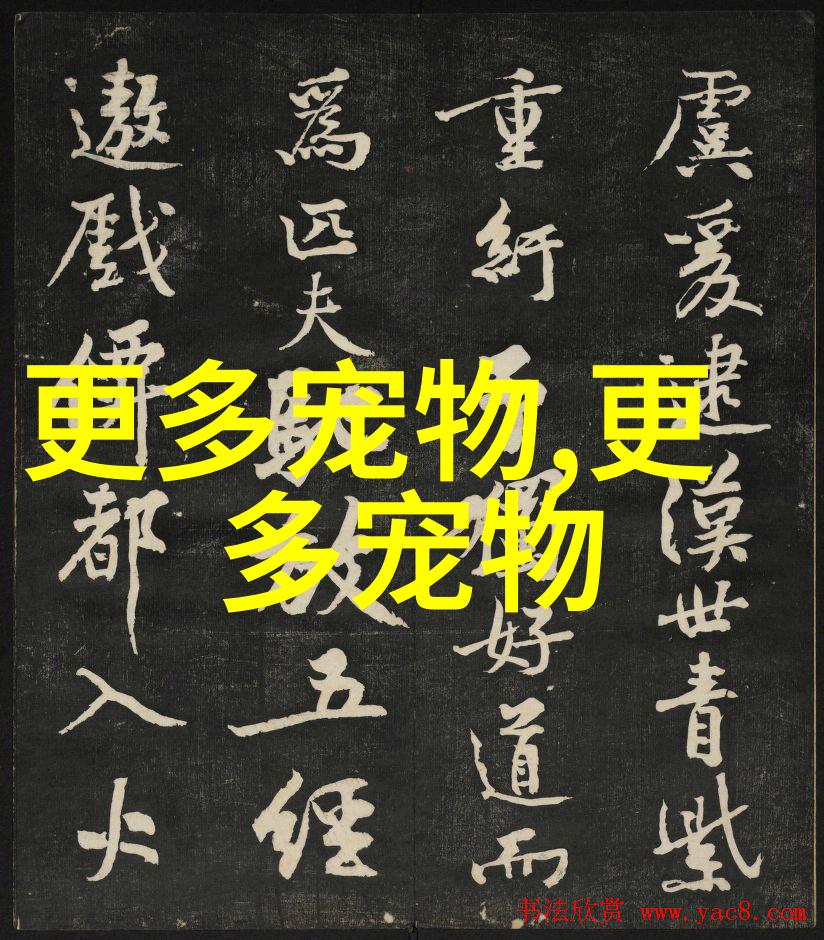 阿富汗猎狐狗