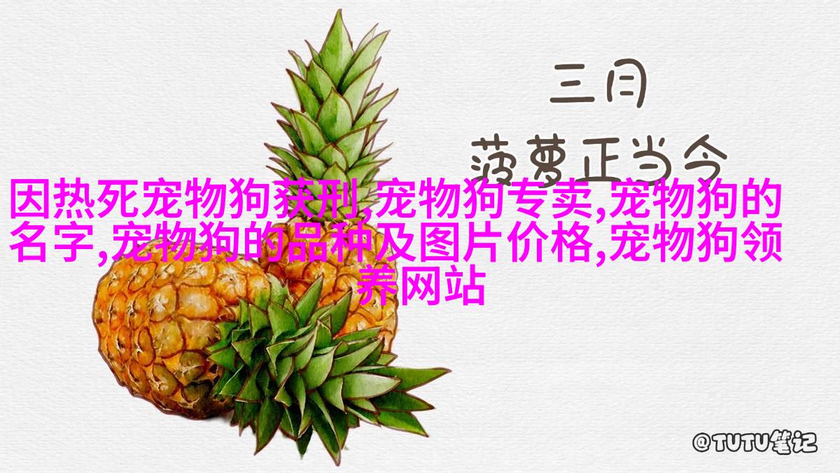 曼克斯