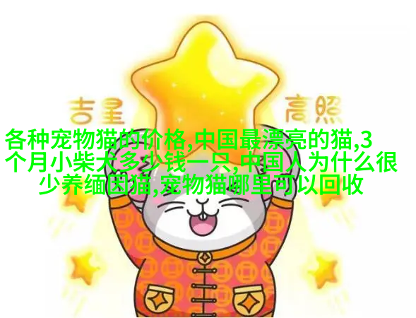大丹马匹
