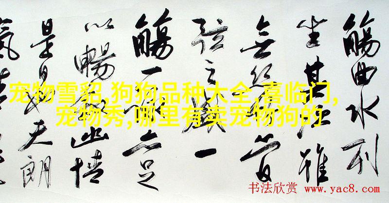 银龙鱼晚上需要开灯吗?不需要
