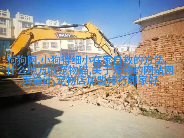 绒球娃娃
