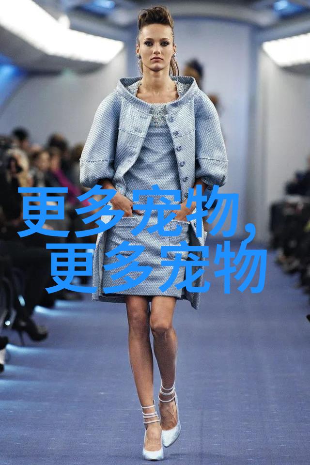 招财猫鱼怎么养也需要技巧