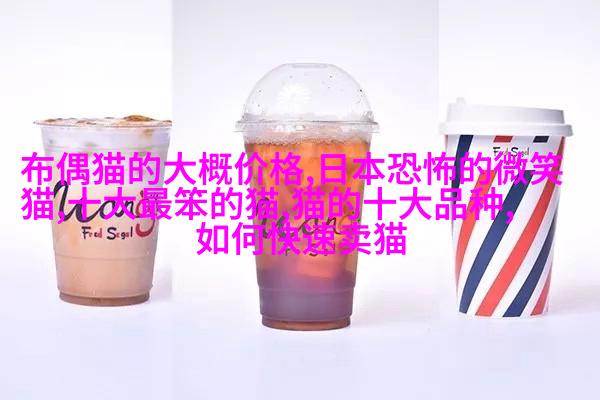 好养的小型热带鱼有哪些适合大家饲养?