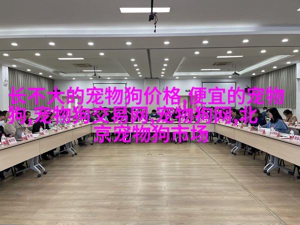 法国斗牛梗
