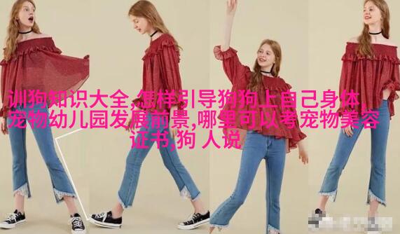欧洲短毛