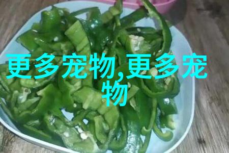 图8: 大熊猫松鼠cat从树上落下果子
