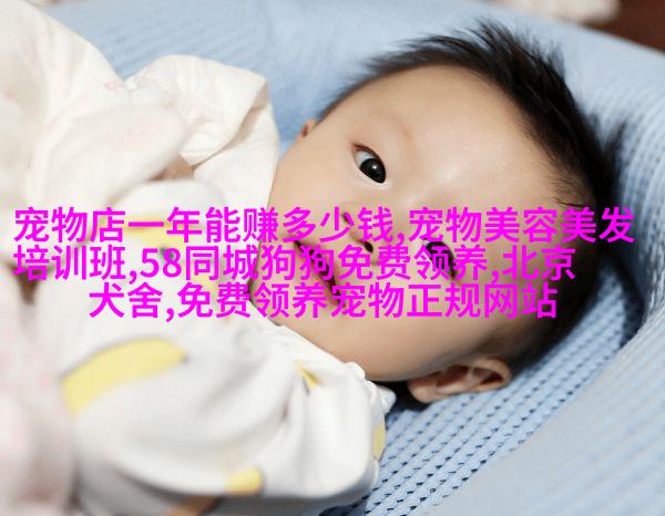 斗牛犬