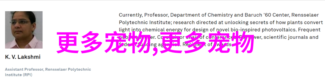 什么热带鱼寿命长,热带的寿命一般在几到十几年之间