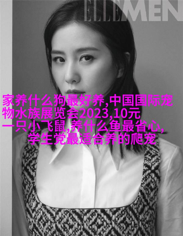 探险者