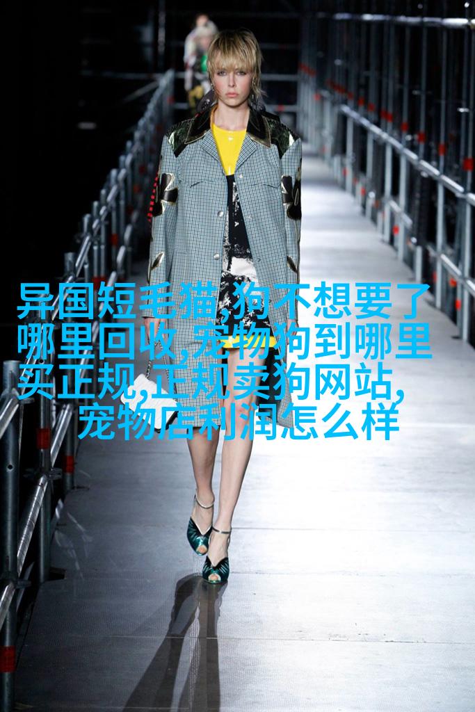 阿富汗哈桑