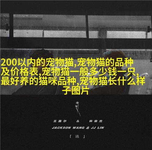 图例