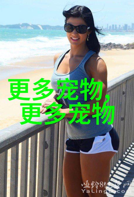 阿比西尼亚短毛