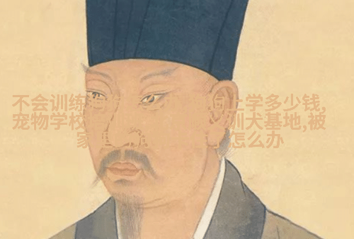 图6: 晚餐的时候，一张桌子上摆满了各种食材;几个人正在忙碌地烹饪;背景是一个窗口透出的阳光洒落在地板上形成美丽的影子线条