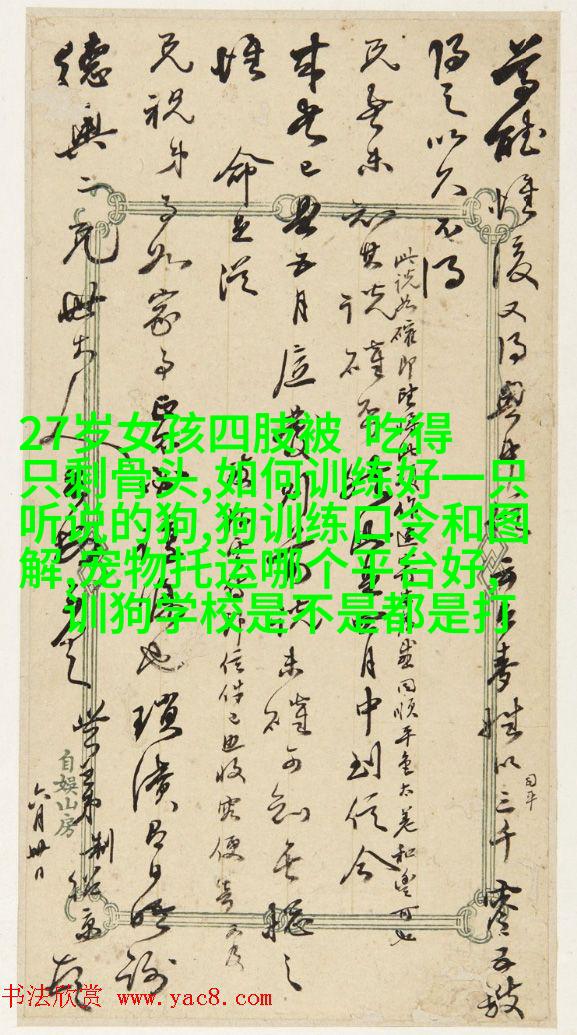 大丹马尔济斯