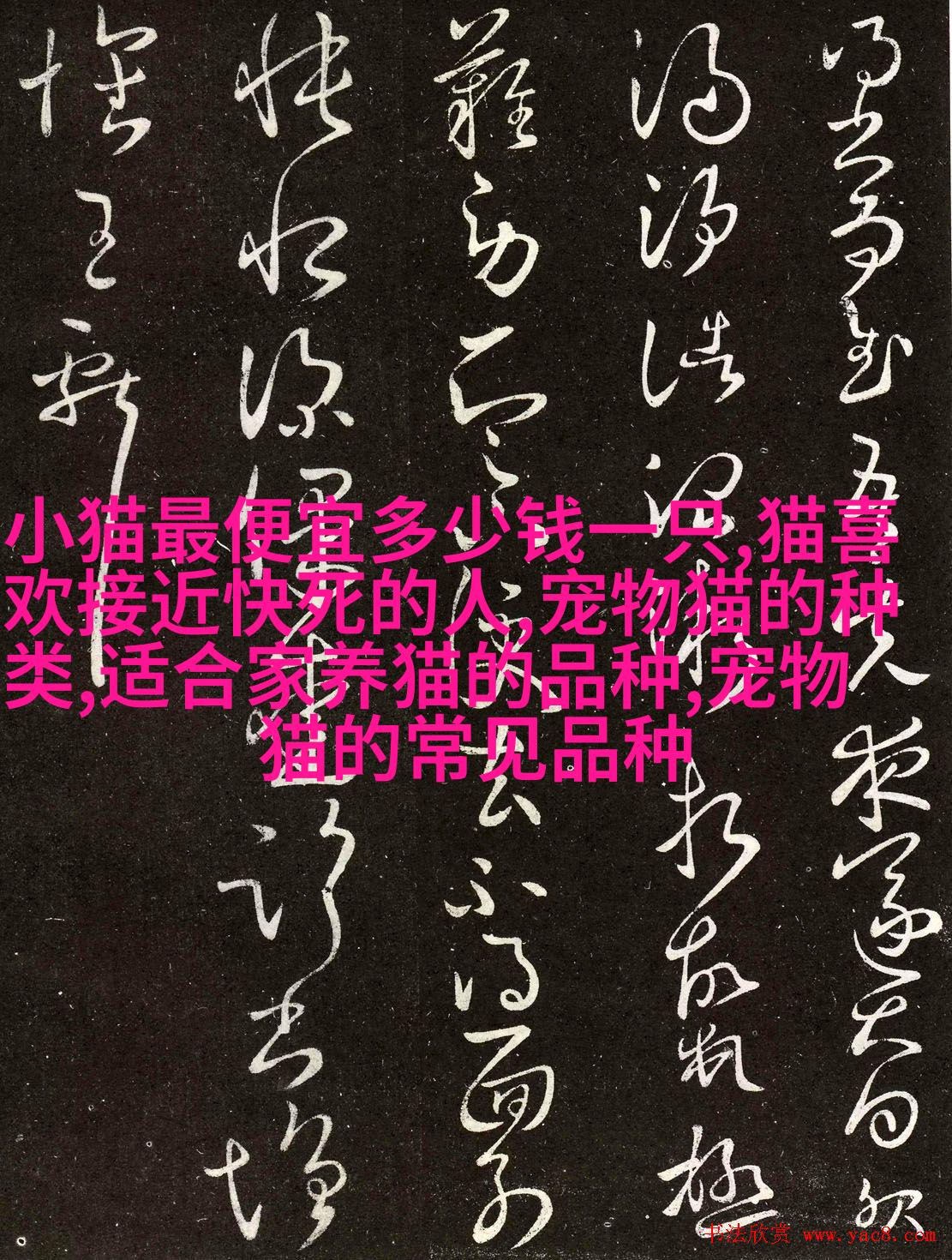 图像描述