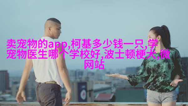 苏格兰折耳