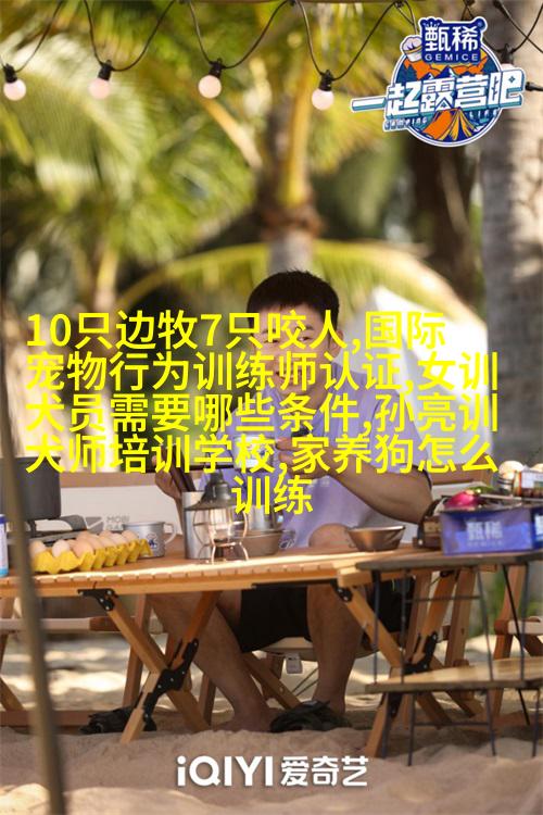 图像描述
