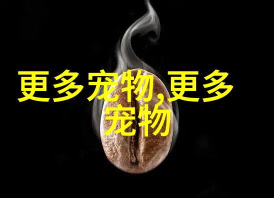 长毛阿拉斯加