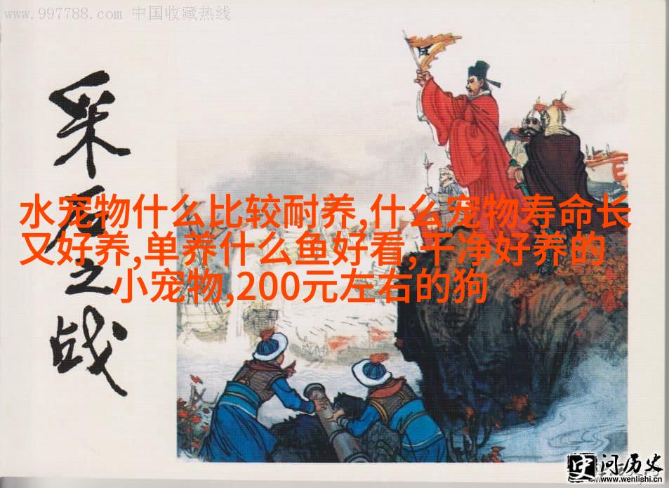 苏格兰折耳猫