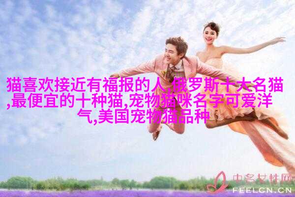 图例