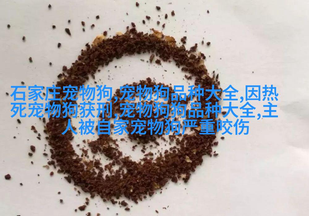 大丹马尔济斯猎犬