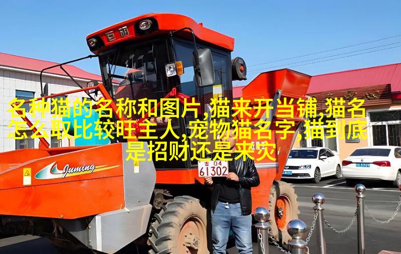 斜目貂