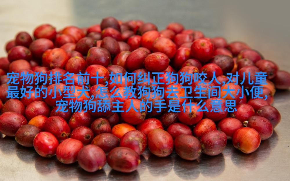 图七：俄罗斯蓝眼雪豹